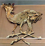 Gazelle of Ankhshepenwepet
