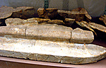 Sarcophagus fragments (380), Senemut