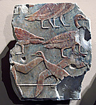 Waterfowl in a Clapnet