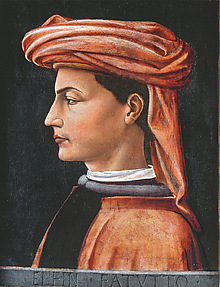 Profile of a Man