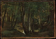 Interior of a Wood at Pierrefitte