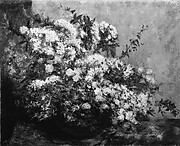 Spring Flowers