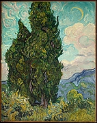 Cypresses
