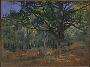 The Bodmer Oak, Fontainebleau Forest