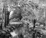 A Brook in a Clearing