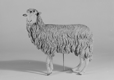 Standing sheep