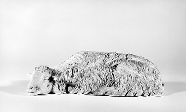 Sleeping sheep