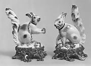 Pair of squirrels