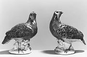 Partridge (one of a pair)