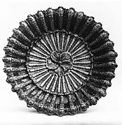 Dish