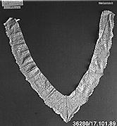 Neckpiece, Shaped