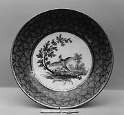 Saucer