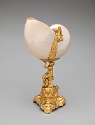 Nautilus shell