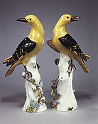 Golden oriole (one of a pair)