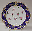Dinner plate