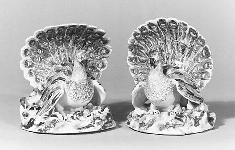 Pair of peacocks