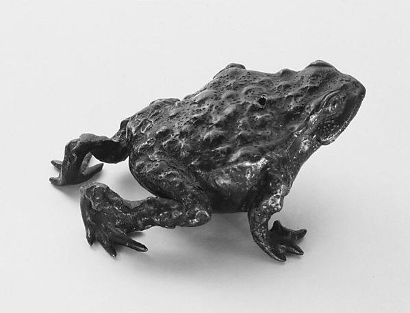 Toad