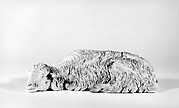 Sleeping sheep