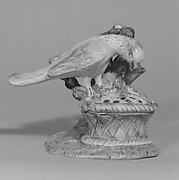 Parrot with spread wings