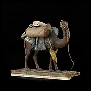 Camel