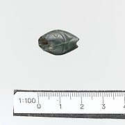 Seal