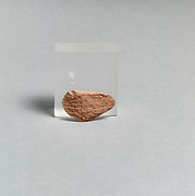 Vase fragment