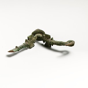 Fibula, fragment