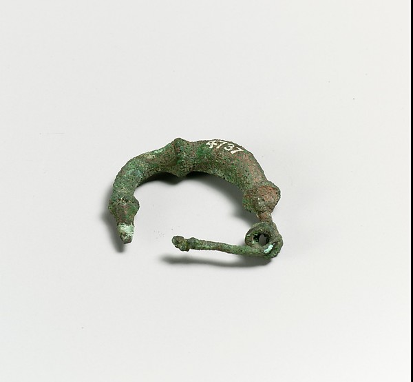 Fibula