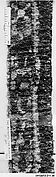 Fragment