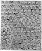 Fragment of a Cope