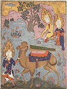 Coffin of Imam 'Ali, Folio from a Falnama (The Book of Omens) of Ja'far al-Sadiq