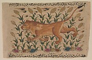 Folio from a Dispersed Nuzhatnama