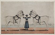 A Syce Holding Two Carriage Horses
