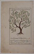 Folio from a Materia Medica of Dioscurides