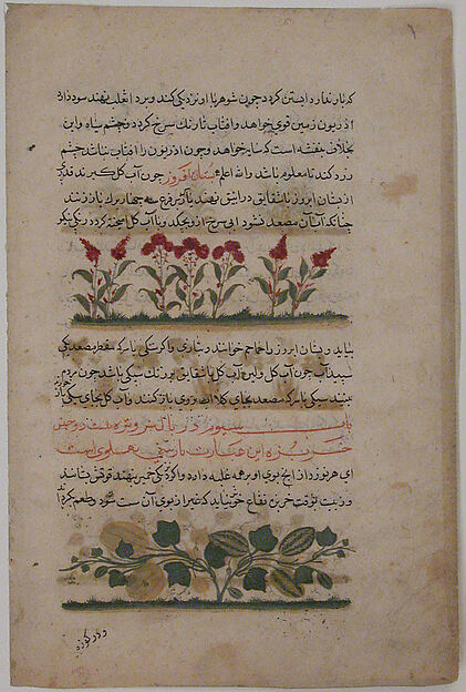 Folio from a Dispersed Nuzhatnama