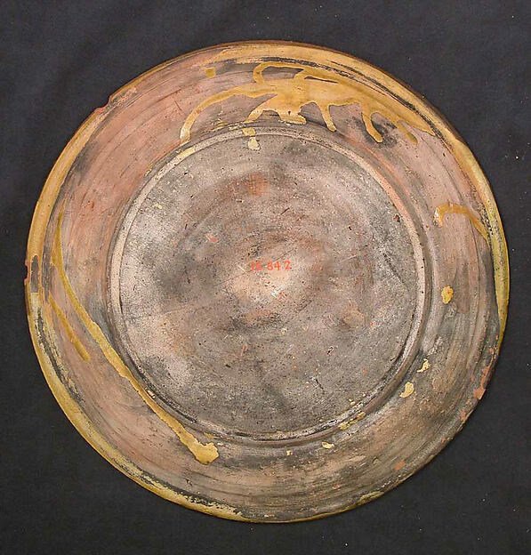 Dish