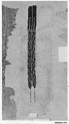 Fragment