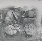 Shells