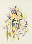 Small Daffodils