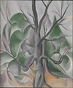 Grey Tree, Lake George