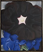 Black Hollyhock, Blue Larkspur