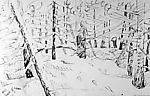 Tracks in the Snow