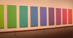Spectrum V