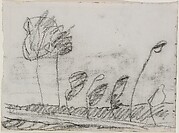 Seven Trees