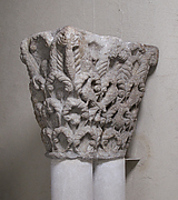 Double Capital with Birds