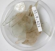 Glass Fragments