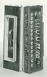 Accordion (Flutina)