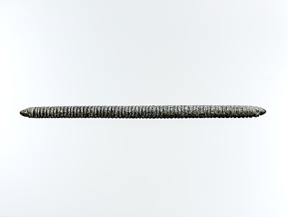 Rasp