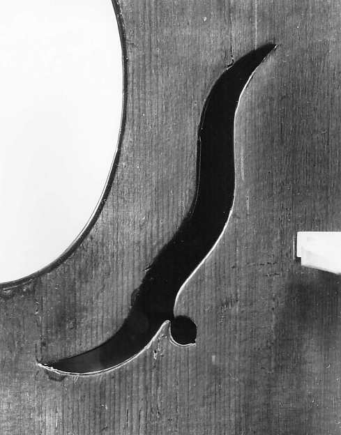 Viola da Braccio