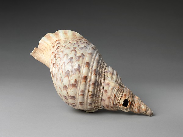 Conch Shell Trumpet